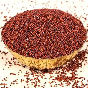 Finger Millet Seeds