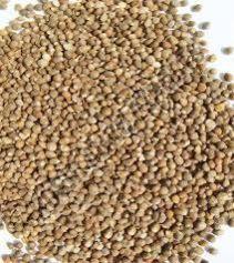 Barnyard Millet Seeds, Speciality : High In Protein, Packaging Size : 5-25kg For Cooking, Cooking