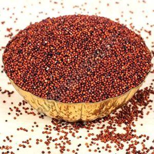 Finger Millet Seeds, Color : Dark Red, Packaging Size : 5-25kg, Packaging Type : Plastic Bag