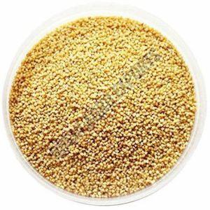 Indian Organic Foxtail Millet Seeds, Color : Yellow 90%, Packaging Type : Plastic Bag