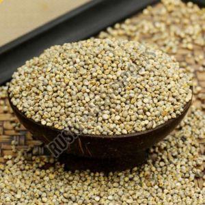 Organic Pearl Millet Seeds, Color : Green 99% Max 12%