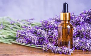 Lavender Essential Oil