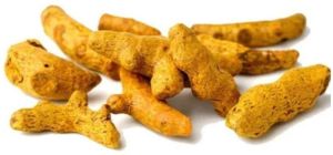 Single Polished Turmeric Finger