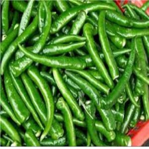 A Grade Fresh Green Chilli, Packaging Size : 5-10 Kg, Packaging Type : Plastic Bag For Chutneys, Salads