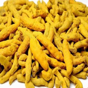 Rajapuri Turmeric Finger