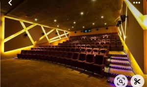 Cinema Hall Interior Designing Service