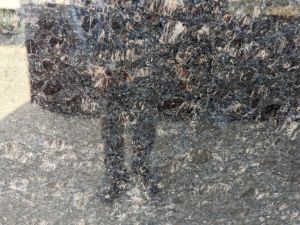 Coffee Brown Granite Slab