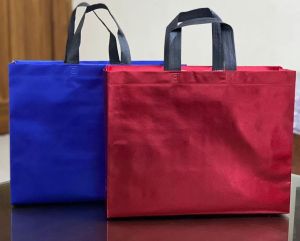 Printed Non Woven Laminated Bag, Color : Multicolor Multisize