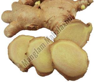 Fresh A Grade Ginger, Packaging Size : 20 Kg