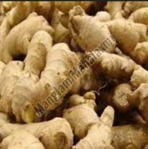 Fresh Indian Ginger, Packaging Size : 20kg