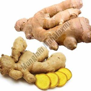 Organic Fresh Ginger, Packaging Size : 20kg