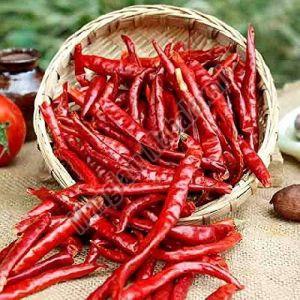 Teja Dry Whole Red Chilli For Cooking