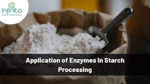Starch Enzymes