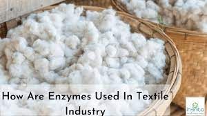 Textile Enzymes