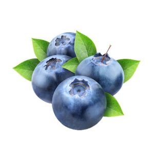 A Grade Fresh Blueberry
