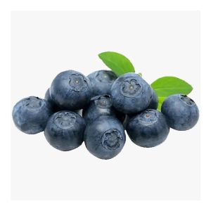 Fresh Organic Blueberry