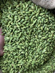 green cardamom