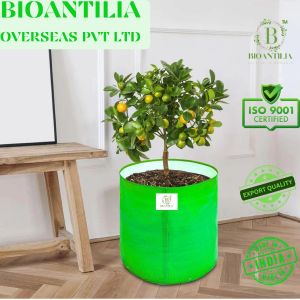 12X12 Inch Green HDPE Grow Bag