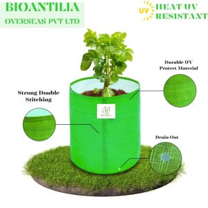 9×9 Inch Green HDPE Grow Bag