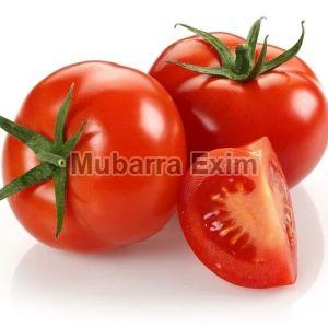 Indian Tomato