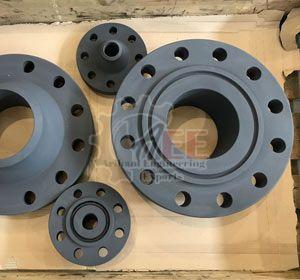 Low Temperature Carbon Steel Groove and Tongue Flanges