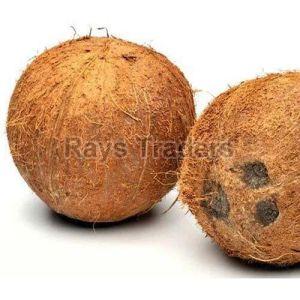 A Grade Husked Coconut