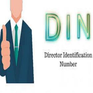 Director Identification Number Registration Service