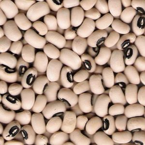 Chawla Beans