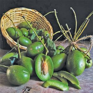 Organic Indian Olive