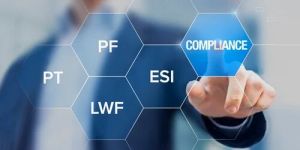 annual epf esic compliance services