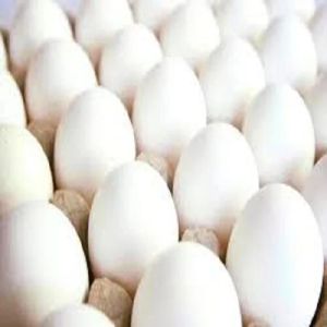 Farm White Eggs