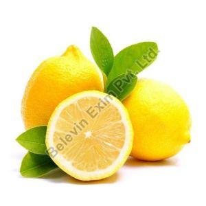 A Grade Yellow Lemon