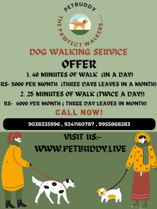 dog grooming service