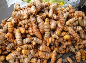 Turmeric Seeds