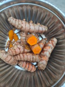 Raw Turmeric