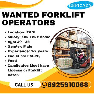 Forklift Bearings