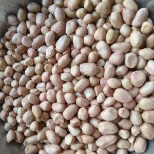 60/70 Java Groundnut Kernel