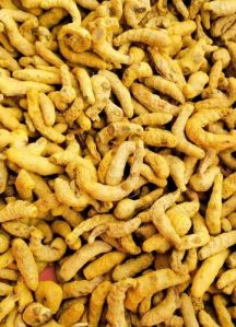 Erode Turmeric Finger