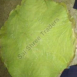 12 Inch Siali Leaf Plates