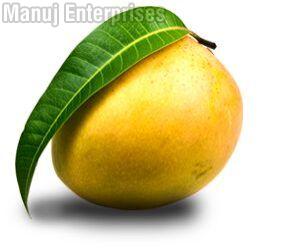 Mango Puree/ Pulp