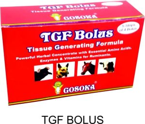 TGF Bolus