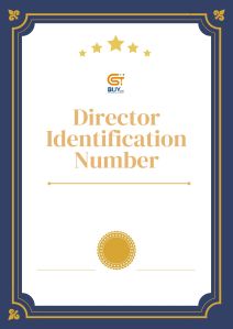 Director Identification Number  Service