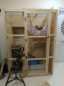 Cat cage