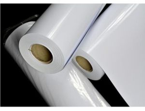 65 to 67 GSM Silicone Release Paper Roll
