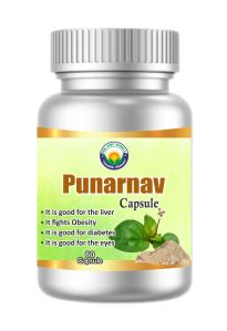 Punarnava Capsule