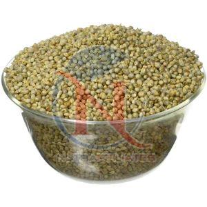 Dried Pearl Millet Seeds