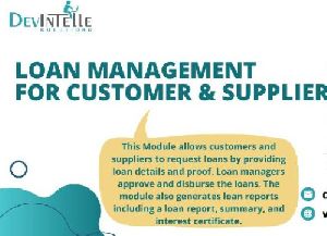 loan management system