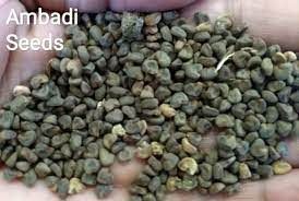 ambadi seeds
