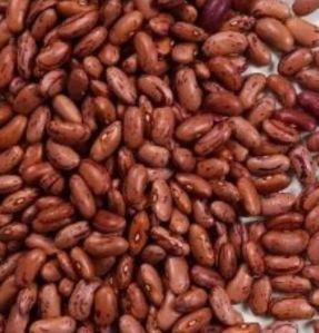 Jammu Kidney Beans