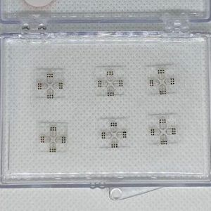Six Probe Electrode